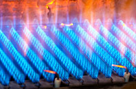 Honingham gas fired boilers